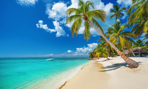 New York & Rep. Dominicana