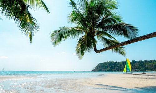 Phuket & Bangkok
