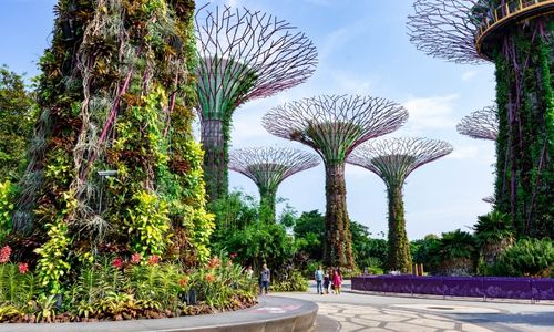 Bali & Singapore Discover
