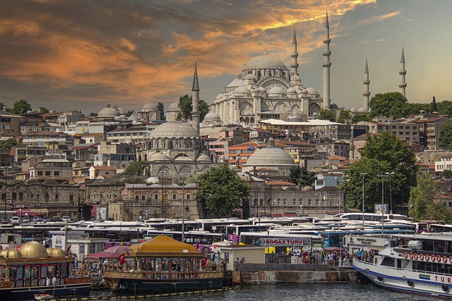 <p>Arrivo a Istanbul e trasferimento in hotel.</p>
<p>Cena libera e pernottamento.</p>