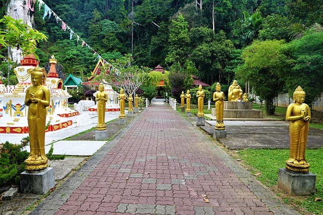 Thai Dreaming 12 notti
