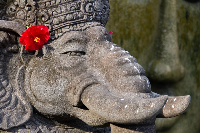 Bali Discover 11 Notti