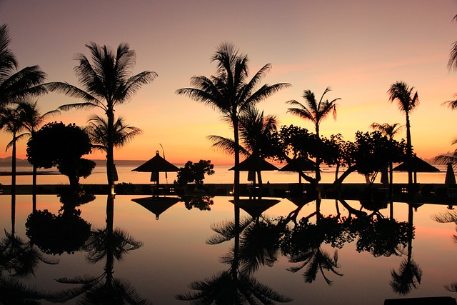 Bali Dreaming 11 Notti
