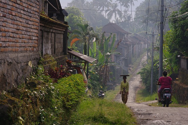 Bali Dreaming 13 Notti