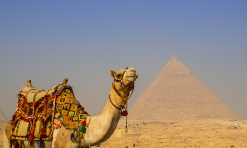 Crociera sul Nilo • Cairo con escursione ad Alessandria