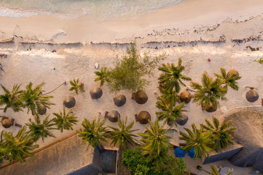 Turtle Bay Beach Club